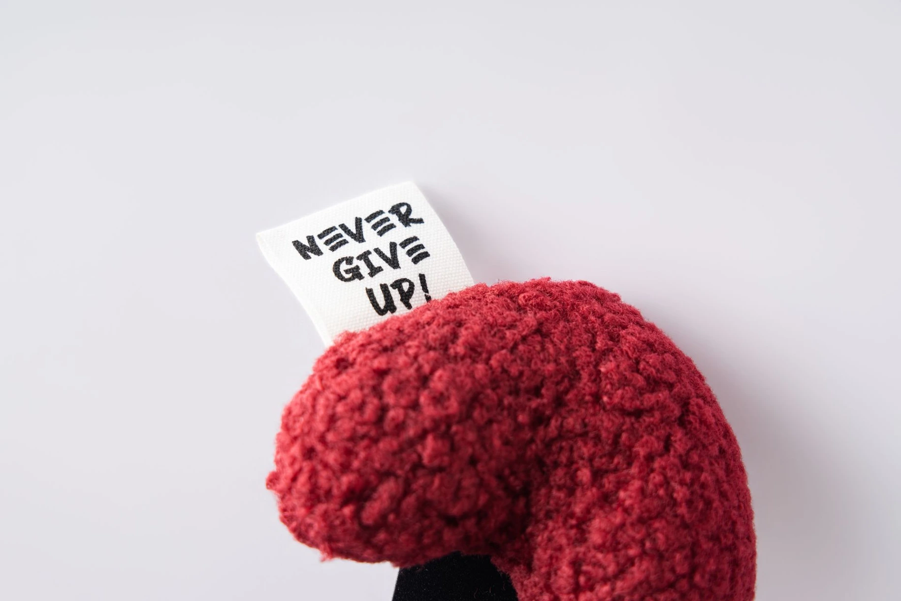 超近距離微距拍攝紅心邊緣與 NEVER GIVE UP 布標